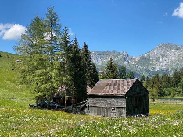 Traditionele Landelijke Architectuur Familieveehouderijen Hellingen Van Het Bergmassief Alpstein Het — Stockfoto