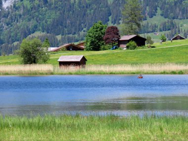 Obertoggenburg bölgesindeki Schwendisee (Vorder Schwendisee) ana gölü - St. Gallen, İsviçre (Kanton St. Gallen, Schweiz) Kantonu)