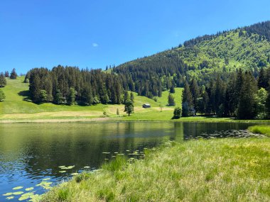 Obertoggenburg bölgesindeki Schwendisee (Vorder Schwendisee) ana gölü - St. Gallen, İsviçre (Kanton St. Gallen, Schweiz) Kantonu)