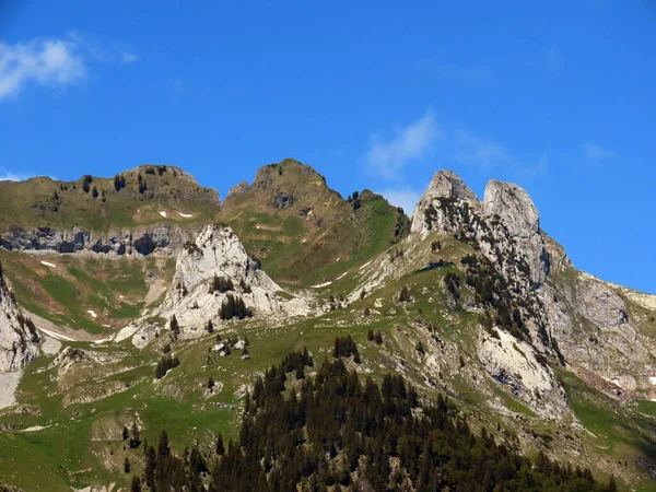Sommet Alpin Schwarzchopf Dans Chaîne Montagnes Alpstein Dans Massif Des — Photo