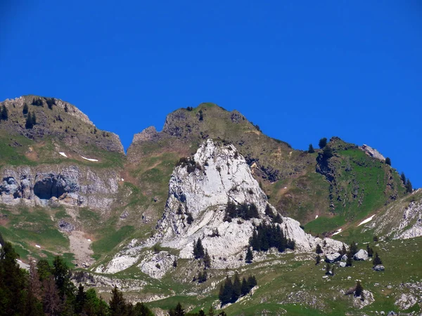 Alpstein山脉的Schwarzchopf高山峰和瑞士St Gallen州 Schweiz Kanton Gallen 的Appenzell阿尔卑斯山地块 — 图库照片