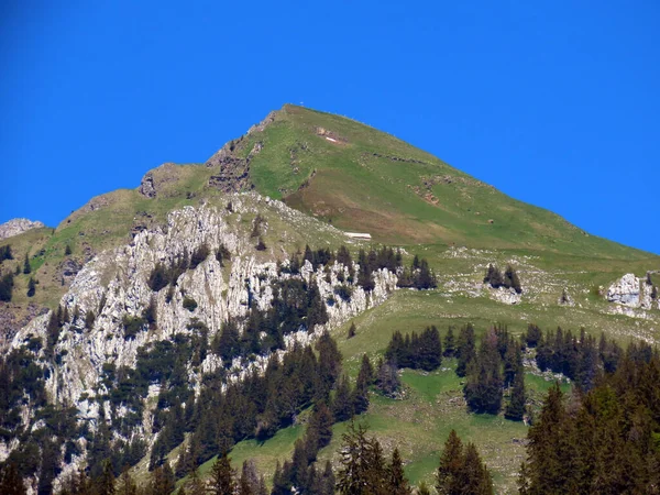 Pico Alpino Schofwispitz Serra Alpstein Maciço Appenzell Alps Cantão Gallen — Fotografia de Stock