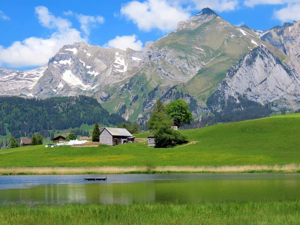 Widok Masyw Alpsteina Appenzell Alps Doliny Rzeki Thur Regionu Obertoggenburg — Zdjęcie stockowe