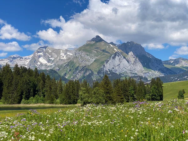Pohled Pohoří Alpstein Masivu Appenzell Alpy Údolí Řeky Thur Obertoggenburg — Stock fotografie