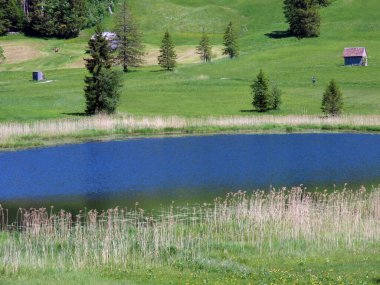 Küçük Schwendisee Gölü (Hinter Schwendisee) Obertoggenburg bölgesinde, Wildhaus - St. Gallen Kantonu, İsviçre (Kanton St. Gallen, Schweiz)