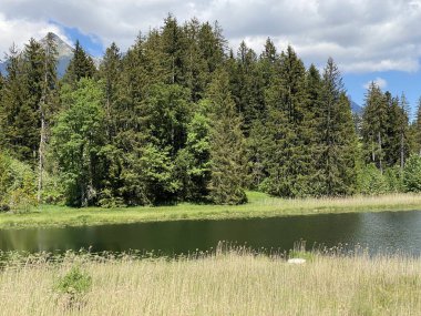 Küçük Schwendisee Gölü (Hinter Schwendisee) Obertoggenburg bölgesinde, Wildhaus - St. Gallen Kantonu, İsviçre (Kanton St. Gallen, Schweiz)