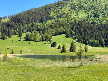 Küçük Schwendisee Gölü (Hinter Schwendisee) Obertoggenburg bölgesinde, Wildhaus - St. Gallen Kantonu, İsviçre (Kanton St. Gallen, Schweiz)