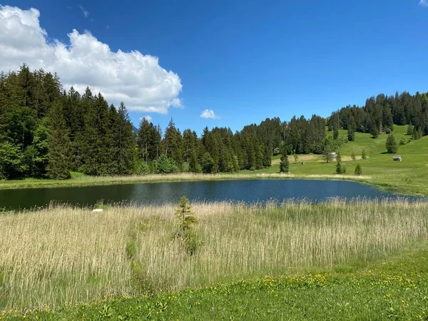 Lago Più Piccolo Schwendisee Hinter Schwendisee Nella Regione Obertoggenburg Wildhaus — Foto Stock