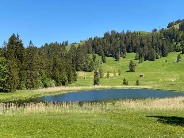 瑞士圣加仑州Wildhaus Obertoggenburg地区较小的Schwendisease Hinter Schwendisease Kanton Gallen Schweiz — 图库照片