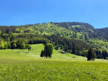 Churfirsten dağ sırasının yamaçlarında ve Obertoggenburg bölgesinde, Wildhaus - İsviçre 'nin St. Gallen kantonu (Kanton St. Gallen, Schweiz)