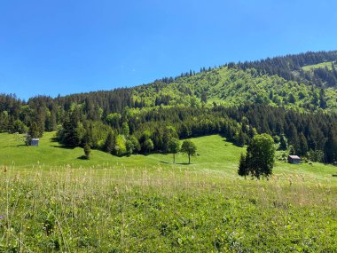 Churfirsten dağ sırasının yamaçlarında ve Obertoggenburg bölgesinde, Wildhaus - İsviçre 'nin St. Gallen kantonu (Kanton St. Gallen, Schweiz)