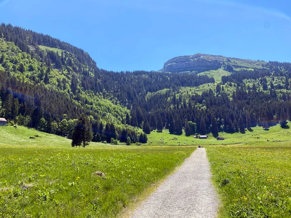 Trails Walking Hiking Sports Recreation Thur River Valley Obertoggenburg Region — Stock Photo, Image