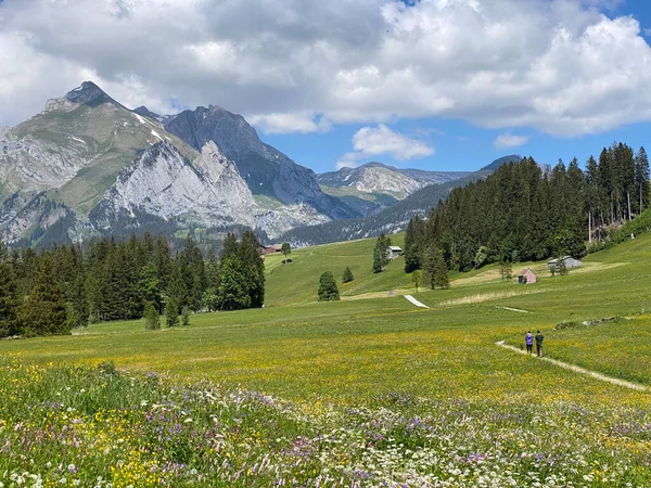 Trails for walking, hiking, sports and recreation in the Thur river valley and in Obertoggenburg region, Wildhaus - Canton of St. Gallen, Switzerland (Kanton St. Gallen, Schweiz)