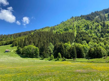 Churfirsten dağ sırasının yamaçlarında ve Obertoggenburg bölgesinde, Wildhaus - İsviçre 'nin St. Gallen Kantonu (Kanton St. Gallen, Schweiz)