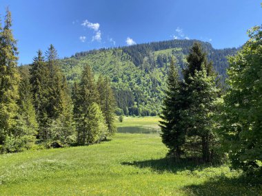 Churfirsten dağ sırasının yamaçlarında ve Obertoggenburg bölgesinde, Wildhaus - İsviçre 'nin St. Gallen Kantonu (Kanton St. Gallen, Schweiz)