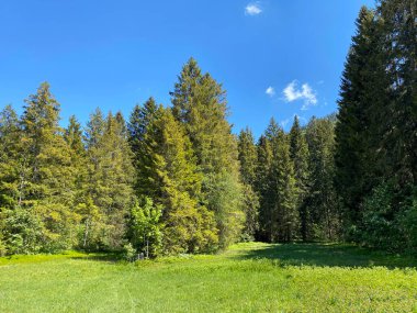 Churfirsten dağ sırasının yamaçlarında ve Obertoggenburg bölgesinde, Wildhaus - İsviçre 'nin St. Gallen Kantonu (Kanton St. Gallen, Schweiz)
