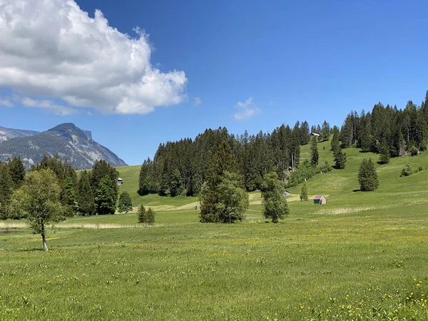 Alpské Pastviny Pastviny Svazích Pohoří Churfirsten Obertoggenburgu Wildhaus Kanton Gallen — Stock fotografie