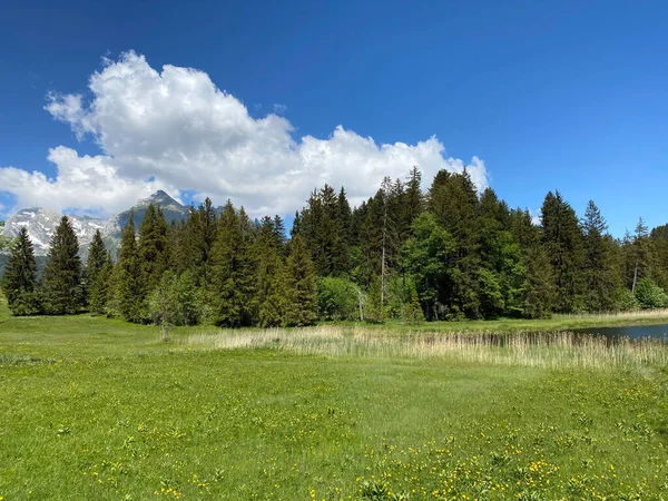 チュルファーテン山脈の斜面とオーバートッゲンブルク地方のアルプスの牧草地と草原 ワイルドハウス サンガレンのカントン スイス カントン聖ガレン スイス — ストック写真