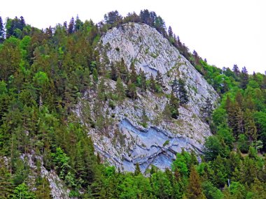 Karışık ormanlar ve inceltilmiş ağaçlar Pilatus tepelerinin yamaçlarında ve dağ tepelerinin altındaki dağlık vadilerde, Alpnach - Obwalden Kantonu, İsviçre (Kanton Obwalden, Schweiz)