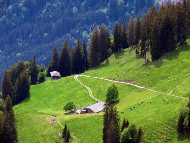 Dağların eteklerinde ve dağların eteklerindeki dağlık vadilerde Alpnach - Obwalden Kantonu, İsviçre (Kanton Obwalden, Schweiz)