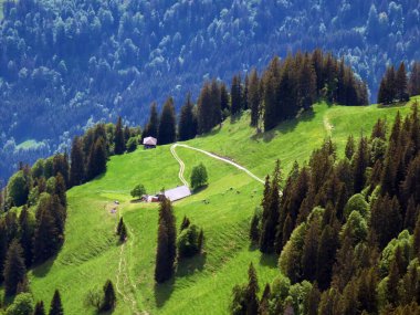 Dağların eteklerinde ve dağların eteklerindeki dağlık vadilerde Alpnach - Obwalden Kantonu, İsviçre (Kanton Obwalden, Schweiz)