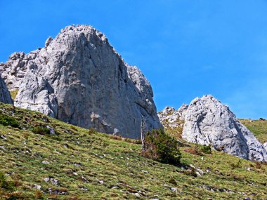 İsviçre 'nin Pilatus sıradağlarında ve Emmental Alplerde, Alpnach - Obwalden Kantonu, İsviçre (Kanton Obwalden, Schweiz)