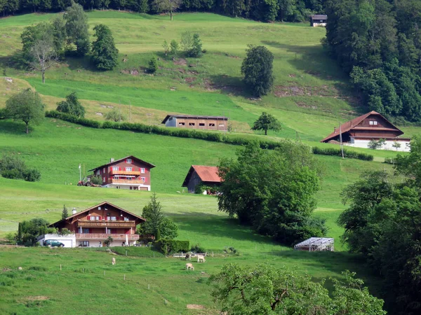 전통적 농장은 필라투스 프나흐 스위스 Kanton Obwalden Schweiz 비탈에 자리잡고 — 스톡 사진