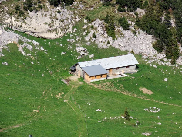 Arhitectura Rurală Tradițională Fermele Animale Familie Pantele Masivului Muntos Pilatus — Fotografie, imagine de stoc