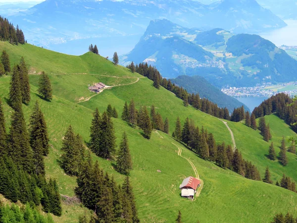 Alpské Pastviny Pastviny Svazích Masivu Pilatus Alpských Údolích Úpatí Hory — Stock fotografie