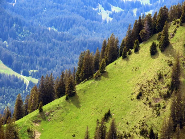 Alpské Pastviny Pastviny Svazích Masivu Pilatus Alpských Údolích Úpatí Hory — Stock fotografie