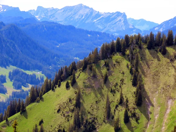 Alpnach Kanton Obwalden Schweiz Kanton Obwalden Schweiz Almen Und Weideland — Stockfoto