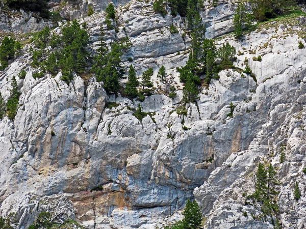 スイスのピラトゥス山脈とメンタルアルプスの岩と石 アルパチ オバルデン州 スイス カントン オバルデン スイス — ストック写真