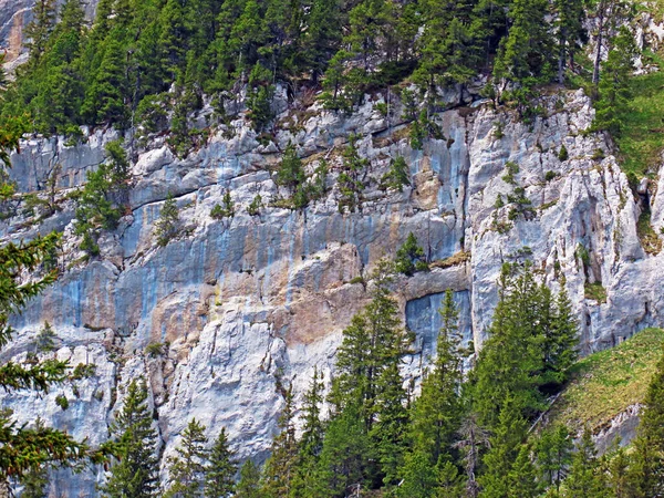 Скалы Камни Швейцарском Горном Массиве Пилатус Эмментальных Альпах Альпнах Кантон — стоковое фото