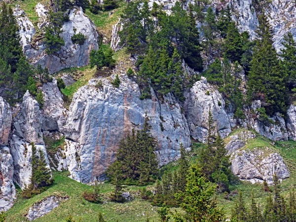 Sziklák Kövek Svájci Pilatus Hegységben Emmental Alpokban Alpnach Obwalden Kanton — Stock Fotó