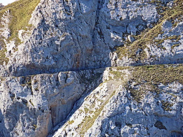 Тропы Прогулок Походов Спорта Отдыха Склонах Массива Пилатус Альпийских Долинах — стоковое фото