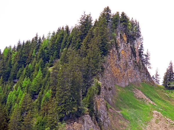 Alpský Vrch Hoernli Nebo Hornli Švýcarském Pohoří Pilatus Emmentálních Alpách — Stock fotografie