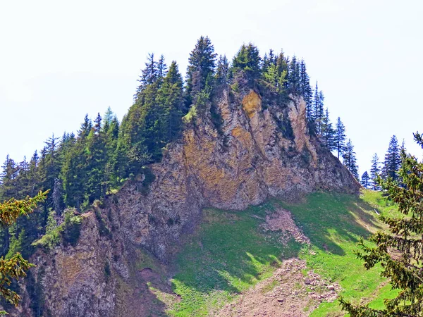 Альпійський Гірський Пагорб Гернлі Або Горнлі Швейцарському Гірському Хребті Пілатус — стокове фото