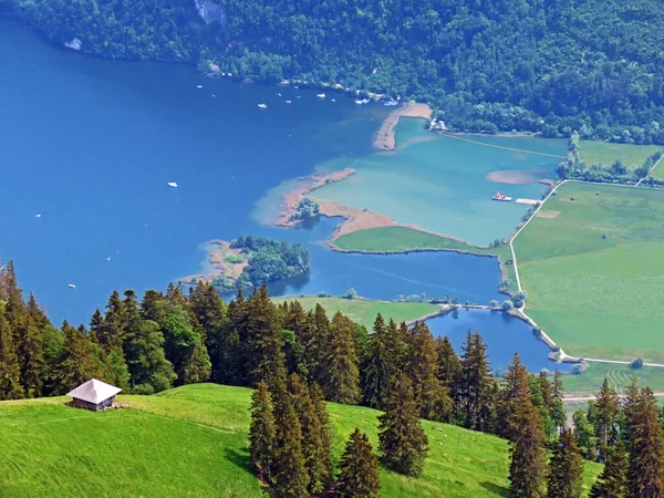 Reserva Natural Eichiried Alpnach Zona Humedales Largo Del Lago Alpnachersee — Foto de Stock