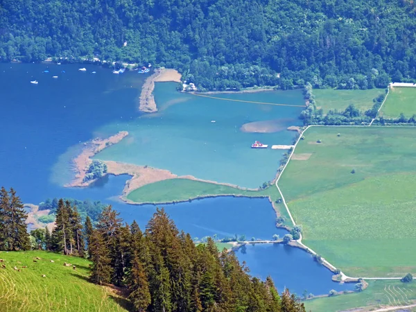 瑞士奥瓦尔登州Alpnachersee湖沿岸的Eichiried Alpnach自然保护区和湿地地区 Kanton Obwalden Schweiz — 图库照片