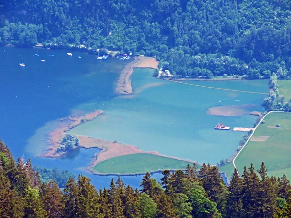 Rezerwat Przyrody Eichiried Alpnach Tereny Podmokłe Wzdłuż Jeziora Alpnachersee Alpnachstad — Zdjęcie stockowe