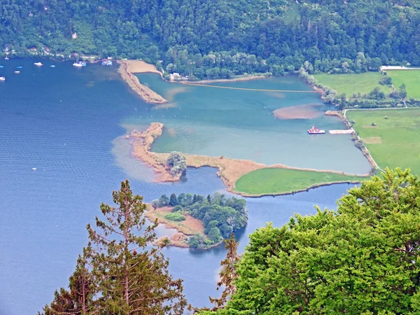 Reserva Natural Eichiried Alpnach Zona Humedales Largo Del Lago Alpnachersee — Foto de Stock