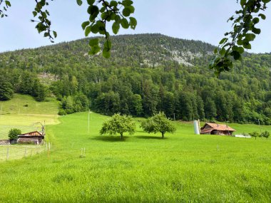 Geleneksel kırsal mimari ve aile çiftlik hayvanları Pilatus dağ kütlesi, Alpnach - Obwalden Kantonu, İsviçre (Kanton Obwalden, Schweiz)