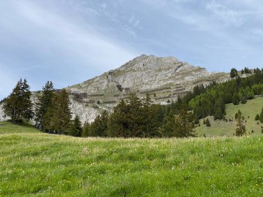 İsviçre 'nin Pilatus sıradağlarında Matthorn' un Alpnach, Obwalden Kantonu (Kanton Obwalden, Schweiz)
