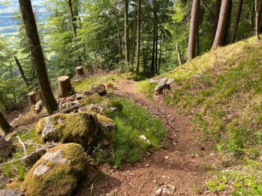 Yürürken, yürürken, spor yaparken ve dinlenirken dağların eteklerindeki dağlık vadilerde, Alpnach - Obwalden Kantonu, İsviçre (Kanton Obwalden, Schweiz)