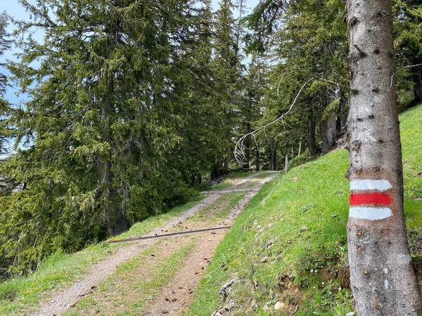 Hegymászó Táblák Jelzések Pilátus Hegység Csúcsain Lejtőin Valamint Emmental Alpokban — Stock Fotó