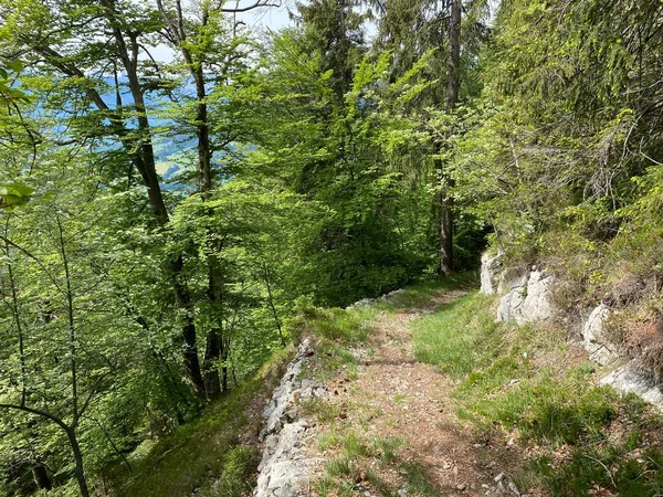 Trails for walking, hiking, sports and recreation on the slopes of the Pilatus massif and in the alpine valleys at the foot of the mountain, Alpnach - Canton of Obwalden, Switzerland (Kanton Obwalden, Schweiz)