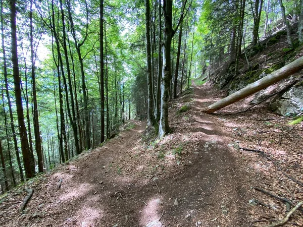 Trails for walking, hiking, sports and recreation on the slopes of the Pilatus massif and in the alpine valleys at the foot of the mountain, Alpnach - Canton of Obwalden, Switzerland (Kanton Obwalden, Schweiz)