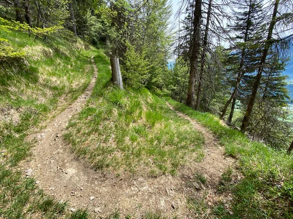 Trails for walking, hiking, sports and recreation on the slopes of the Pilatus massif and in the alpine valleys at the foot of the mountain, Alpnach - Canton of Obwalden, Switzerland (Kanton Obwalden, Schweiz)