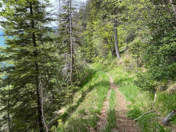 Trilhas Para Caminhadas Caminhadas Esportes Recreação Nas Encostas Maciço Pilatus — Fotografia de Stock