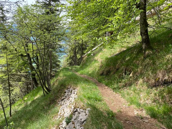 Trails for walking, hiking, sports and recreation on the slopes of the Pilatus massif and in the alpine valleys at the foot of the mountain, Alpnach - Canton of Obwalden, Switzerland (Kanton Obwalden, Schweiz)